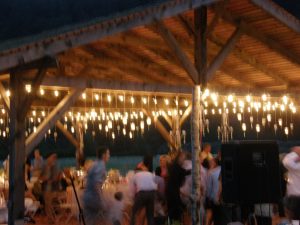 hydrangea ranch building covers