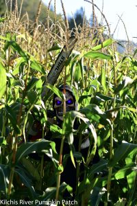 haunted mazes