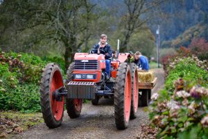 hay rides at the kilchis pumpkin patch
