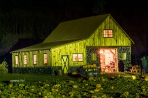 best reviewed pumpkin patches in oregon