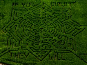 Kilchis river corn maze