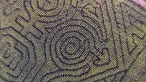 ariel pictures of corn mazes 