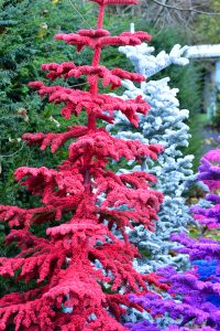 colorful flocked christmas trees