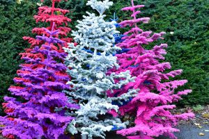 flocked christmas trees