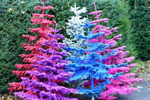 flocked christmas trees