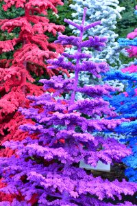 colorful flocked christmas trees