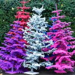 flocked christmas trees