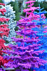 flocked christmas trees
