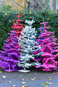 flocked christmas trees