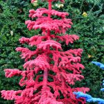 flocked christmas trees