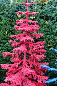 flocked christmas trees