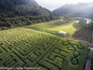 Hydrangea Ranch farm pictures