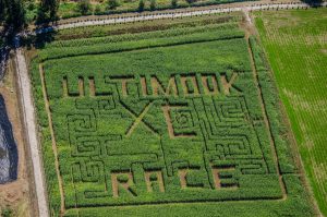 Kilchis river corn maze