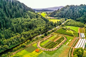 Corn Maze Farm History at Kilchis River Pumpkin Patch and Corn Maze