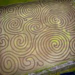 corn maze in oregon