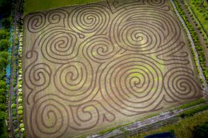 corn maze in oregon