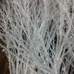 crystallized branches