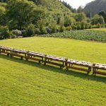 hydrangea ranch wedding venue