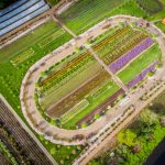 flower farm wedding venue