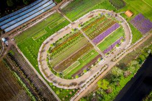 flower farm wedding venue