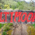 ultimook cross country race
