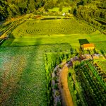 outdoor wedding venues in oregon