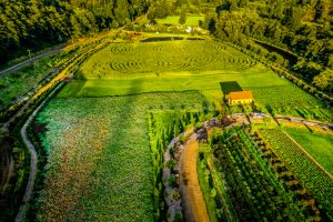 outdoor wedding venues in oregon