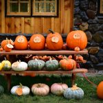 pumpkin patches on the oregon coast