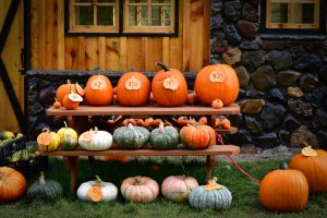 pumpkin patches on the oregon coast