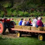 kilchis river pumpkin patch