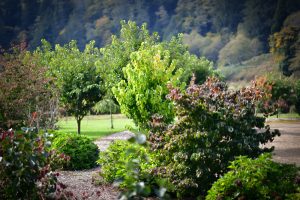 hydrangea ranch venue