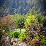 kilchis river ranch