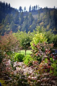 kilchis river ranch
