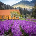 oregon coast wedding venues