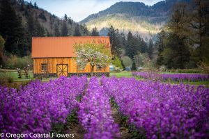 oregon coast wedding venues