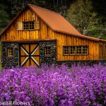 wedding designations in oregon