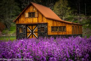 wedding designations in oregon