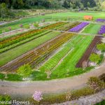 wedding destinations in oregon