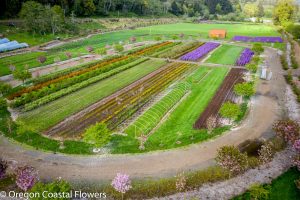 wedding destinations in oregon