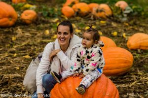 pumpkin patches in tillamook 