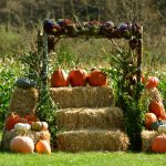 hydrangea ranch events