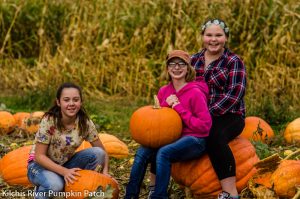 pumpkin patches in oregon 