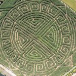 kilchis corn maze