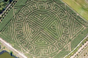 kilchis corn maze