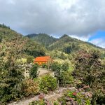 Weddings & Special Events on the North Oregon Coast