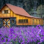 wedding destinations in oregon
