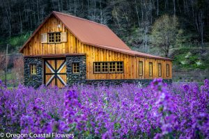 wedding destinations in oregon